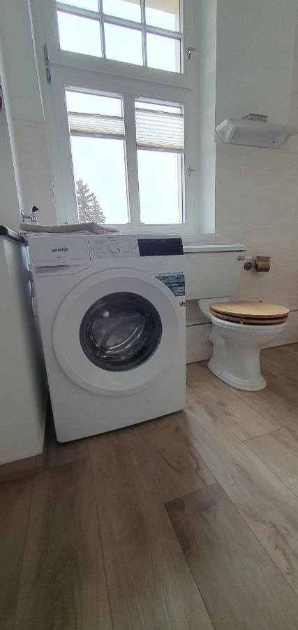 Maisonettewohnung In Elbnaehe ドレスデン エクステリア 写真