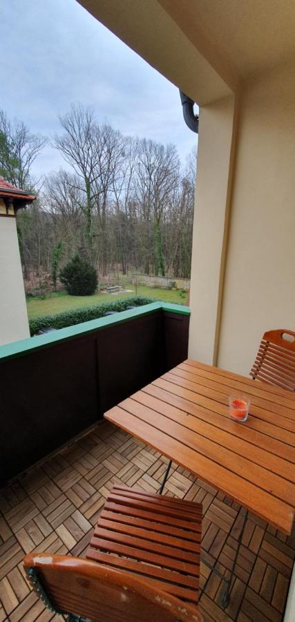 Maisonettewohnung In Elbnaehe ドレスデン エクステリア 写真